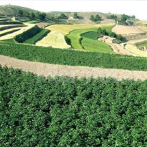 養(yǎng)殖污染將成為環(huán)保問題的“引爆點(diǎn)”